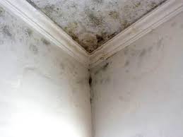 Best Mold Prevention Services  in Marion Oaks, FL