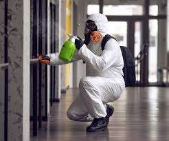 Trusted Marion Oaks, FL Mold Removal & Remediation Experts